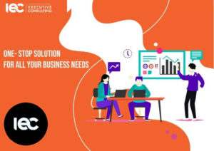 Interim Business Solutions